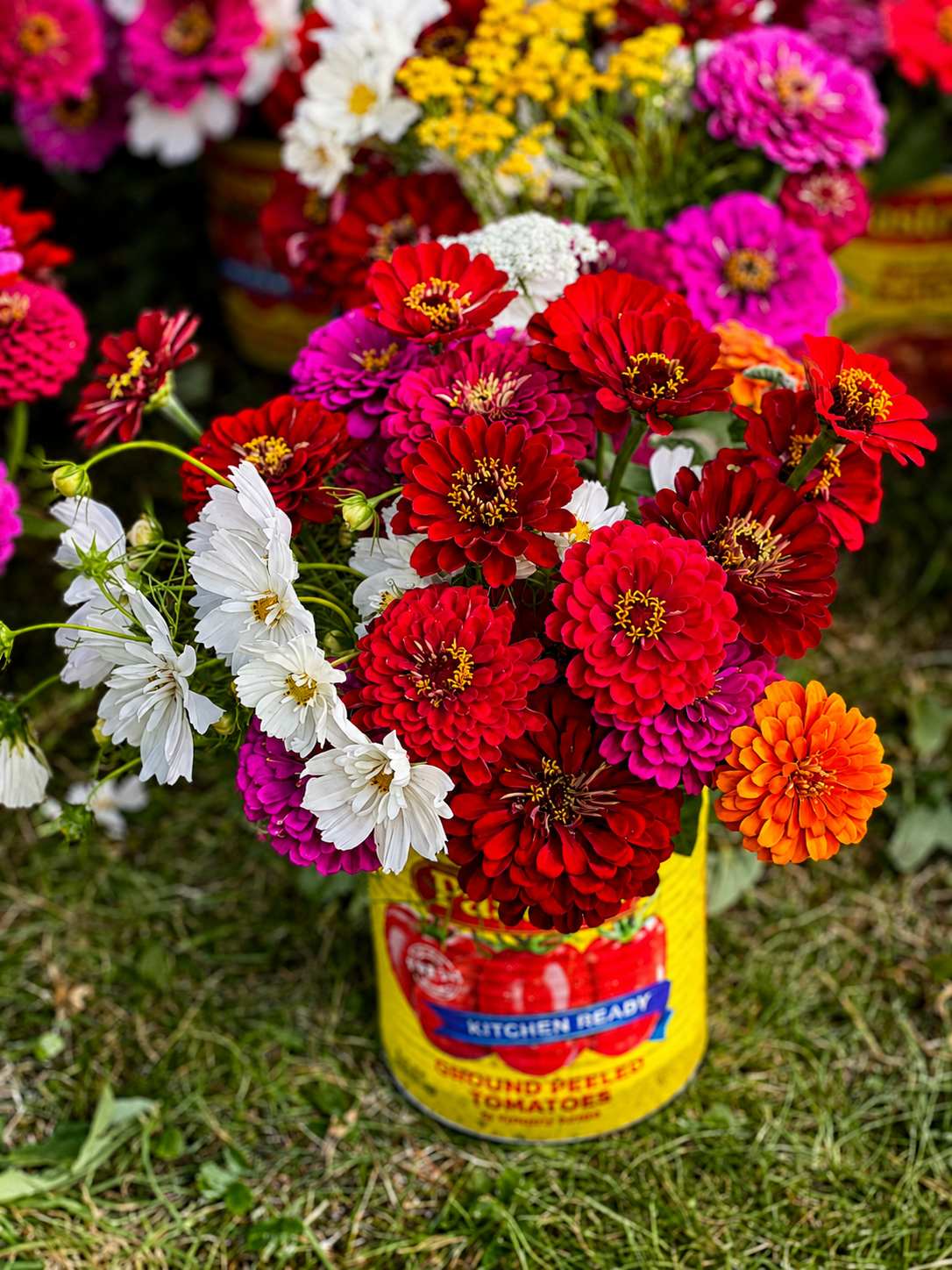 Bright bouquet of zinnias and seasonal flowers